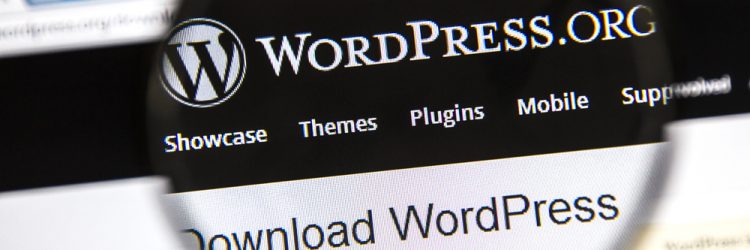 WordPress premium themes